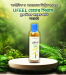 চুল পড়া বন্ধ ও নতুন চুল গজানোর জন্য Best Hair Serum – UFEEL